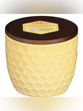 Modern Expressions Juicy Pineapple & Mango Soy Candles Set Of 2 Weigh 12 Oz Each